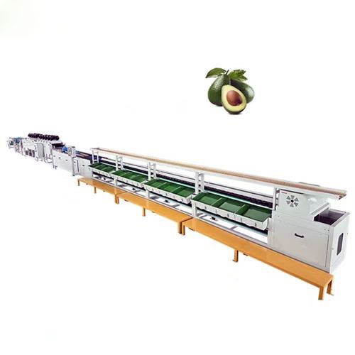 Avocado-Washing-Sorting-Machine-Avocado-Packing-Line Avocado-Washing-Sorting-Machine-Avocado-Packing-Line